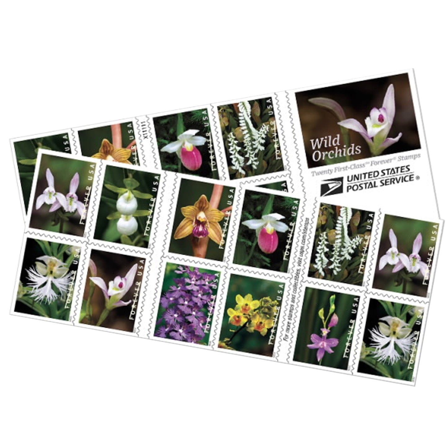 Wild Orchids Forever First Class Postage Stamps image 0
