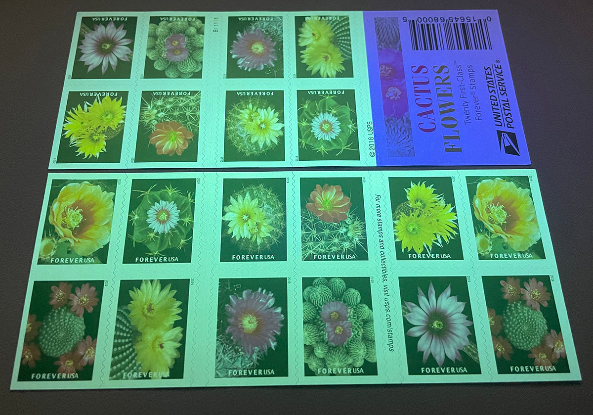 Cactus Flowers Forever First Class Postage Stamps image 1